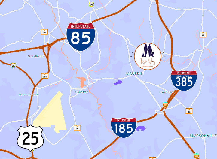 Tiger Wag Dog Boarding and Doggie DayCare in Greenville SC